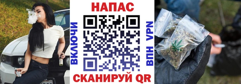Альфа ПВП Кашира