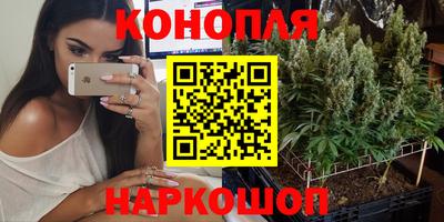 индика Аргун