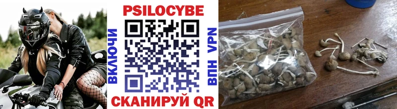Галлюциногенные грибы мухоморы Купить Кашира